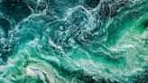 Microbioma oceánico: el Leviatán bondadoso que cuida de nuestro planeta