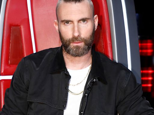 Adam Levine Is Returning to The Voice: Meet His Fellow Season 27 Coaches - E! Online