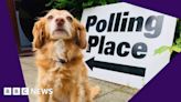 Watch: Pooches at polling stations across the UK