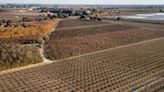 If Stanislaus County wants to remain a top ag producer, it must protect prime farmland | Opinion