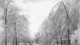 Lenawee County History: Ice storms have wreaked havoc before