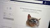 Nationwide, Petco introduce new pet health insurance plan that offers customized options