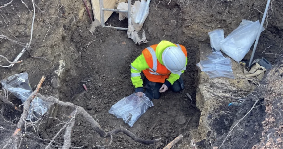 More than 2 dozen human skeletons found in hotel garden