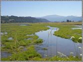 Steigerwald Lake National Wildlife Refuge