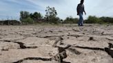 El Gobierno prorrogó el estado de Emergencia y Desastre Agropecuario por sequía en Mendoza hasta el 2025 | Política