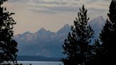 A self-inflicted hit of pepper spray drives off an attacking grizzly in Grand Teton National Park - East Idaho News