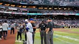 Bee Game: Dodgers and Diamondbacks delayed due to bee swarm