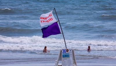 Sharks, jellyfish and rip currents, oh my! How safe is ocean for July 4 in Myrtle Beach area