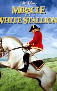 Miracle of the White Stallions