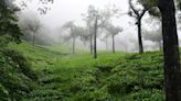 Taking over Manjolai tea estate is legally infeasible, TANTEA tells HC