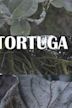 Tortuga