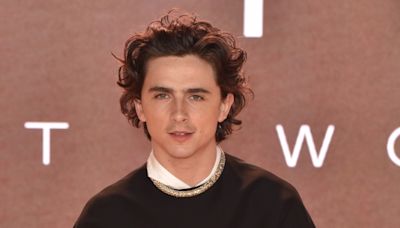 Timothee Chalamet joins Marty Supreme movie