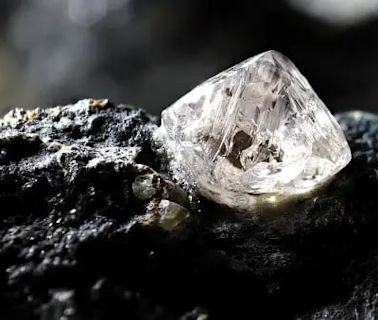 From Pauper To Prince: MP's Tribal Brothers Unearth Life-Changing 19.2 Carat Diamond From Panna Mine