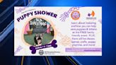 Learn how to foster a puppy, kitten at Puppy Shower this weekend