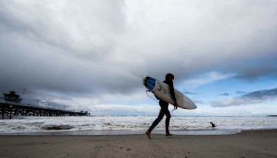 Popular California beach closed for the holiday after shark bumped surfer off his board