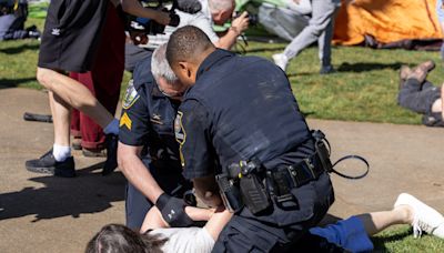 Police chief confirms 28 protestors arrested at morning protest | The Emory Wheel