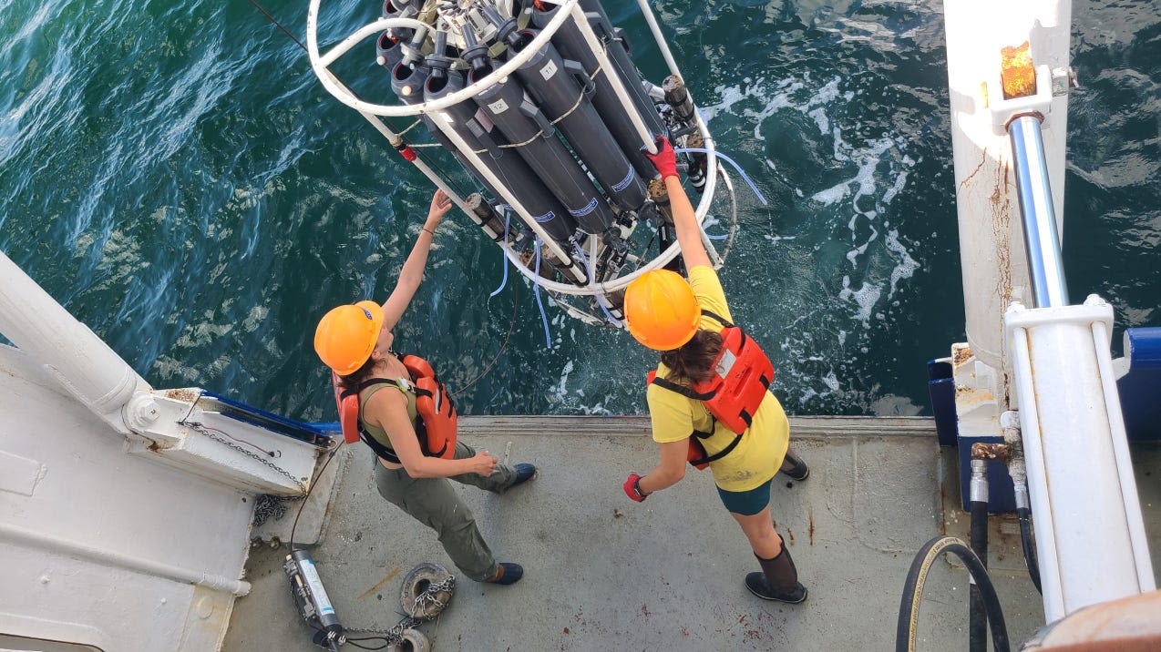 A 'dead zone' is growing in the Gulf of Mexico. It's now the size of New Jersey