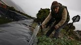 El agua de Punta Arenas se congela con temperaturas bajo cero