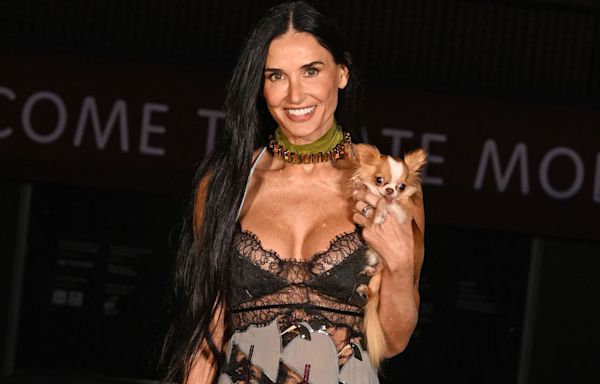 Demi Moore Dressed Up Her Daring Sheer Gown at the Gucci Show with the Sweetest Accessory — Her Dog!