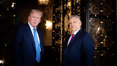 Would Donald Trump's victory lead to a Russia-Ukraine peace deal?