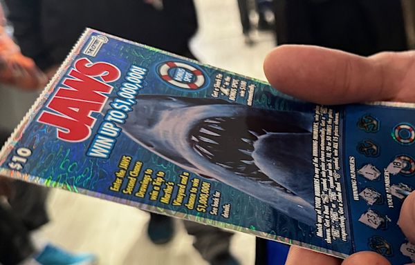 Here's who won the next round of 'Jaws' Martha's Vineyard trips from the Mass. Lottery