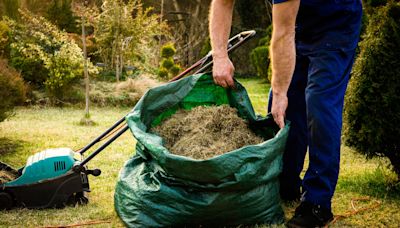 Quand et comment scarifier sa pelouse ?