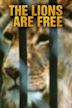The Lions Are Free