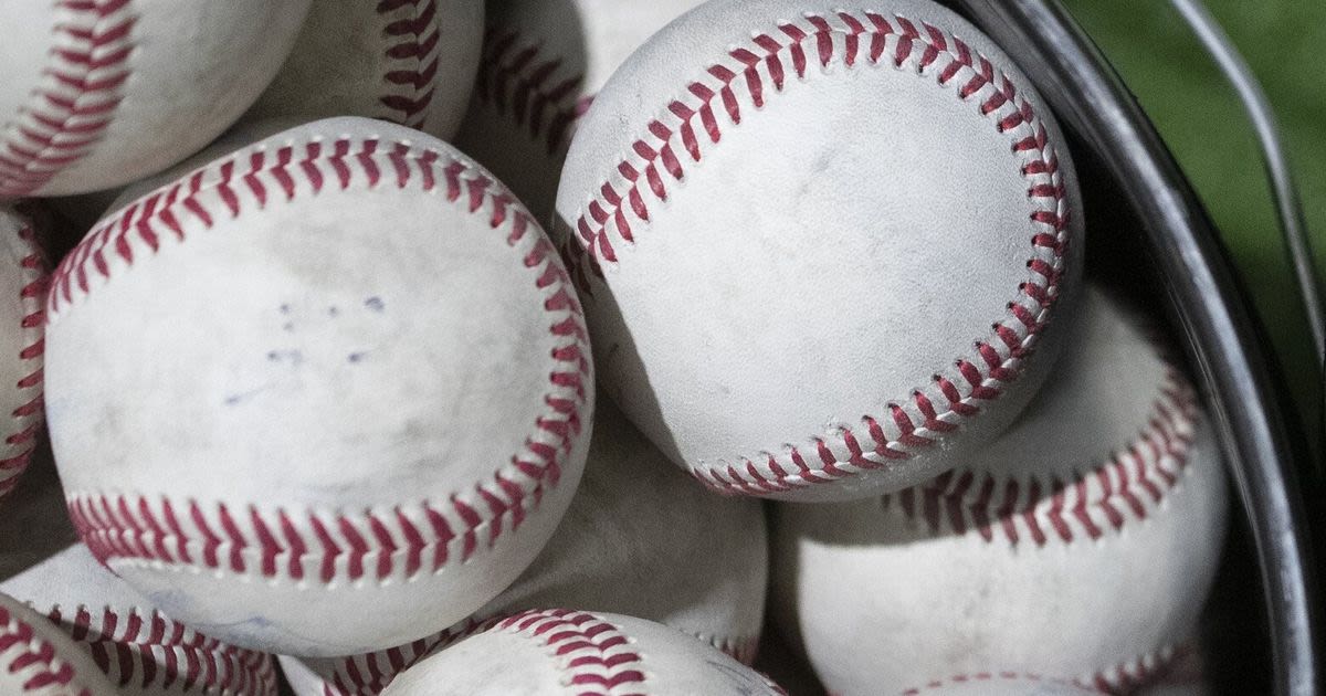 West Seattle baseball jumps on Mount Vernon early to win Class 3A crown