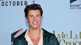 Shawn Mendes Serenades Instagram With Heartbreaking Song