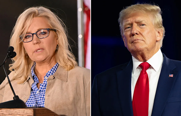 Liz Cheney joins old foe Trump in public slam of Biden's latest move in Israel: 'Wrong and dangerous'