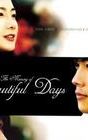 Beautiful Days (TV series)