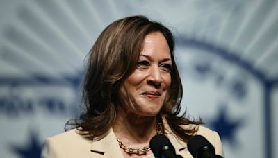 Democratas iniciam votação para confirmar Kamala como candidata, processo que deve ser concluído segunda com escolha para vice