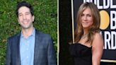 Oh My! Shirtless David Schwimmer Teases Jennifer Aniston With Shower Photo