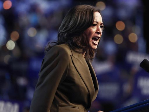 Kamala Harris trolls Trump over crowd sizes and rambling speeches: ‘Same old tired show’