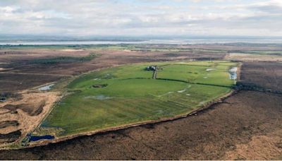 Plans to restore peatland approved