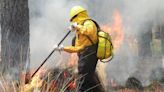 Se prepara Ayuntamiento de la capital para incendios forestales