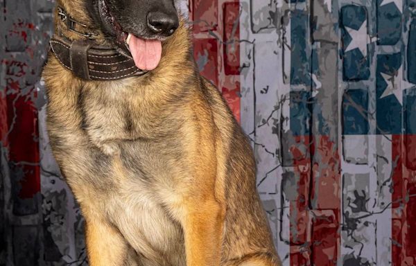 K9 killed Thursday in the line of duty is mourned by Richland County Sheriff’s Department