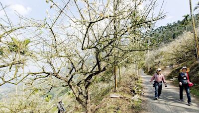 三天兩夜來臺南爬山 一次蒐集各山岳三角點 | 蕃新聞