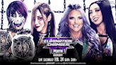 WWE Elimination Chamber 2024: cartelera y horarios
