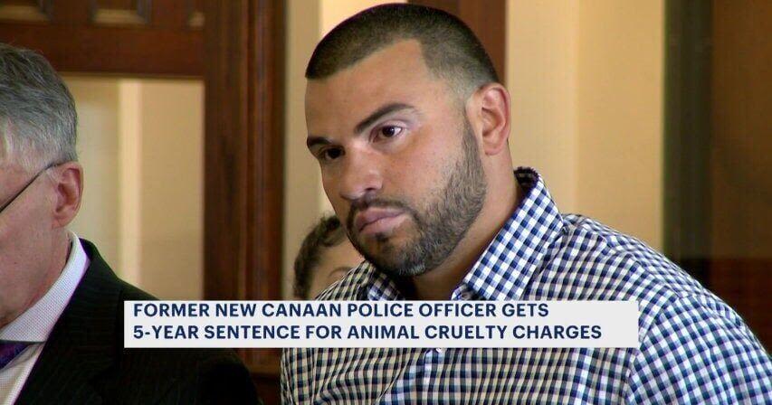 Officials: Former New Canaan police officer sentenced on animal cruelty charges