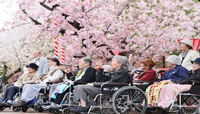 日本失智症高齡者 2040年估584萬人 超市推「慢收銀」