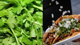 Así es como las taquerías en México sustituyen al cilantro ante el incremento en su precio