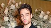 Liam Payne's Girlfriend Says He's 'So Much Better' After Kidney Infection