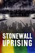 La rebelión de Stonewall