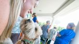 New University of Florida Veterinary Hospital opens at World Equestrian Center in Ocala