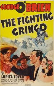 The Fighting Gringo