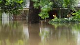 VIDEO: Houston Cops Rescue Man and Dogs Trapped in 10 Feet of Water