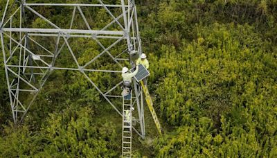 Strengthening America’s Electric Power Grid: How the Government and Industry Are Improving T&D Systems