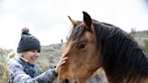 ‘Horse detective’ adopts wild mustangs, reunites them with herds