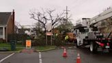 Storm damage causes headache for Oakland County residents, business owners